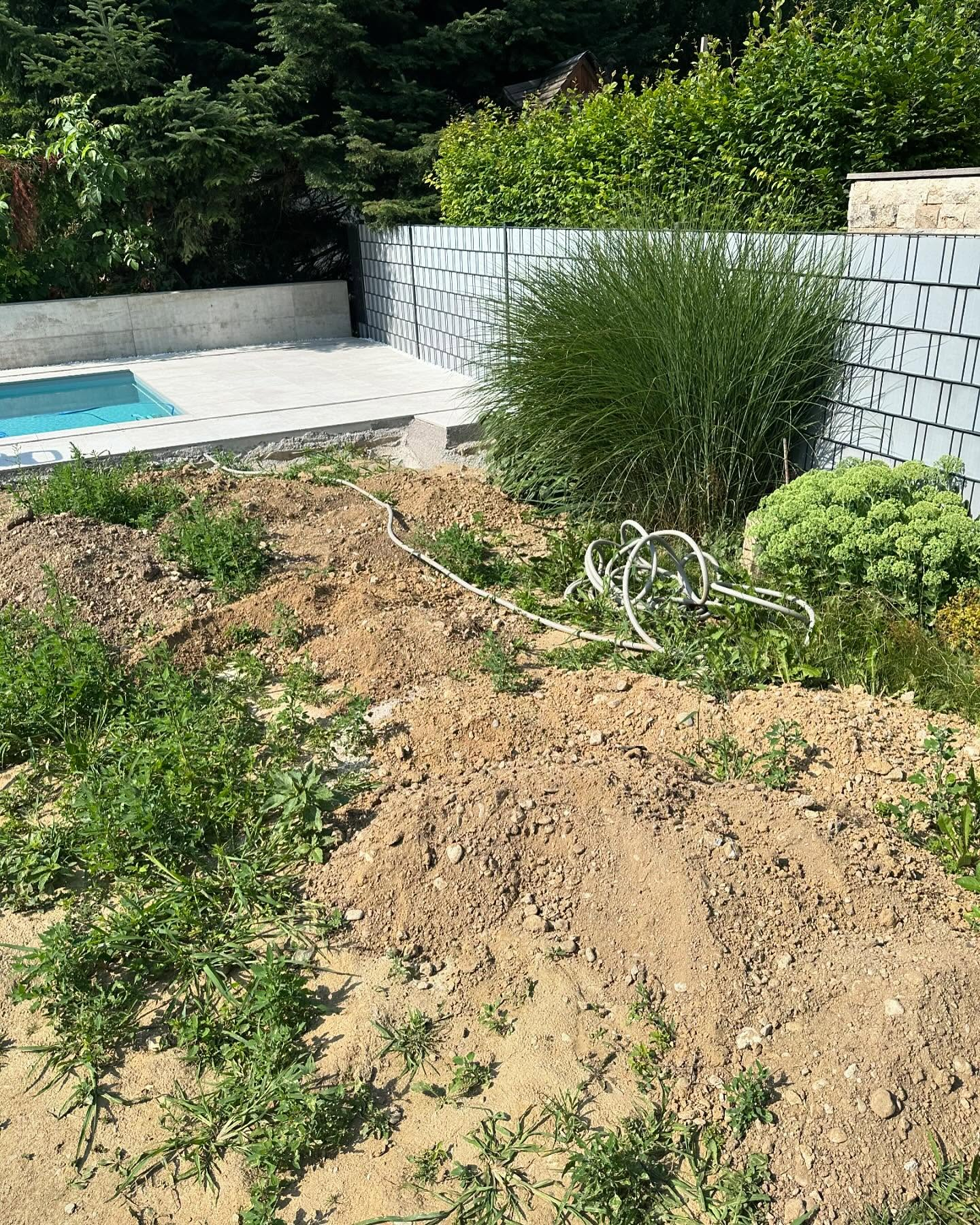 Erdarbeiten Vorher 1